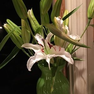 Meet your Posher, Caryn